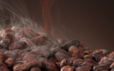 How to roast cocoa beans – Cocoa roasting process and its importance