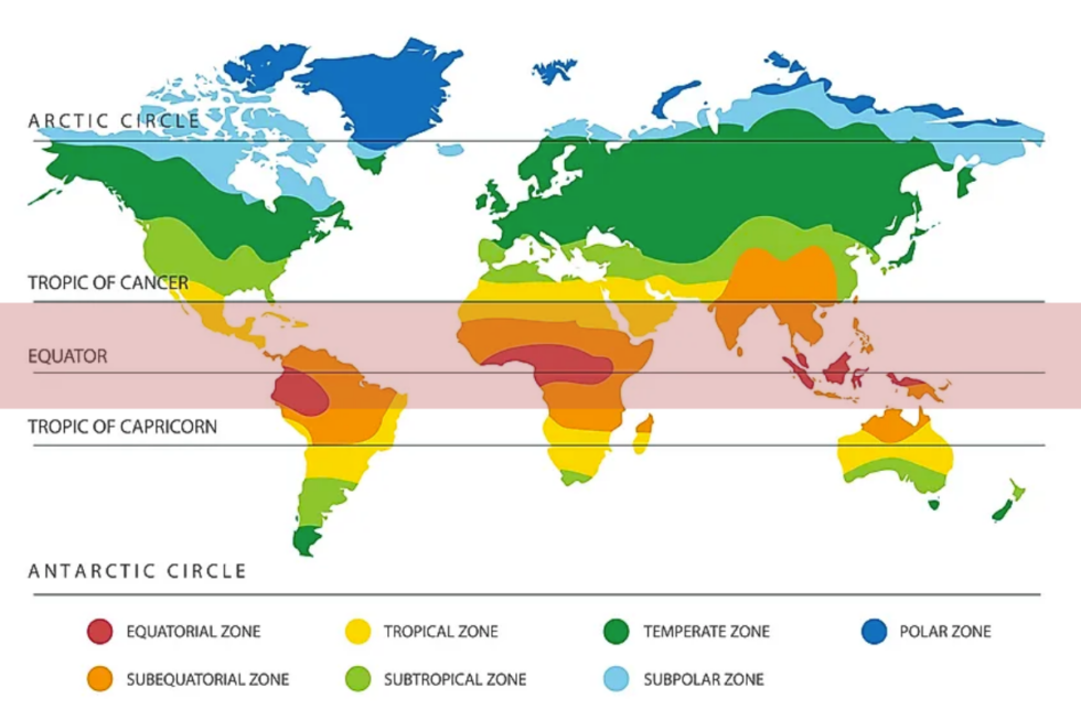 chocolate-production-per-country-cocoa-production-statistics