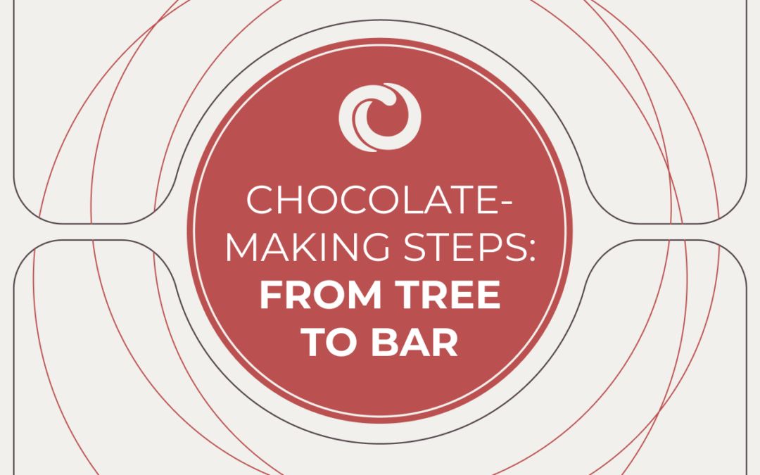 Infographic: How to make chocolate from cacao tree to chocolate bar