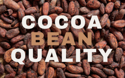 How to check the quality of cocoa beans?