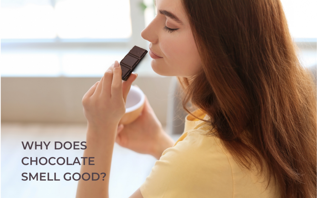 Why does chocolate smell so good?