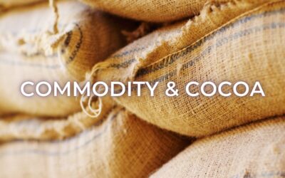 Understanding the difference between commodity cocoa and fine cocoa